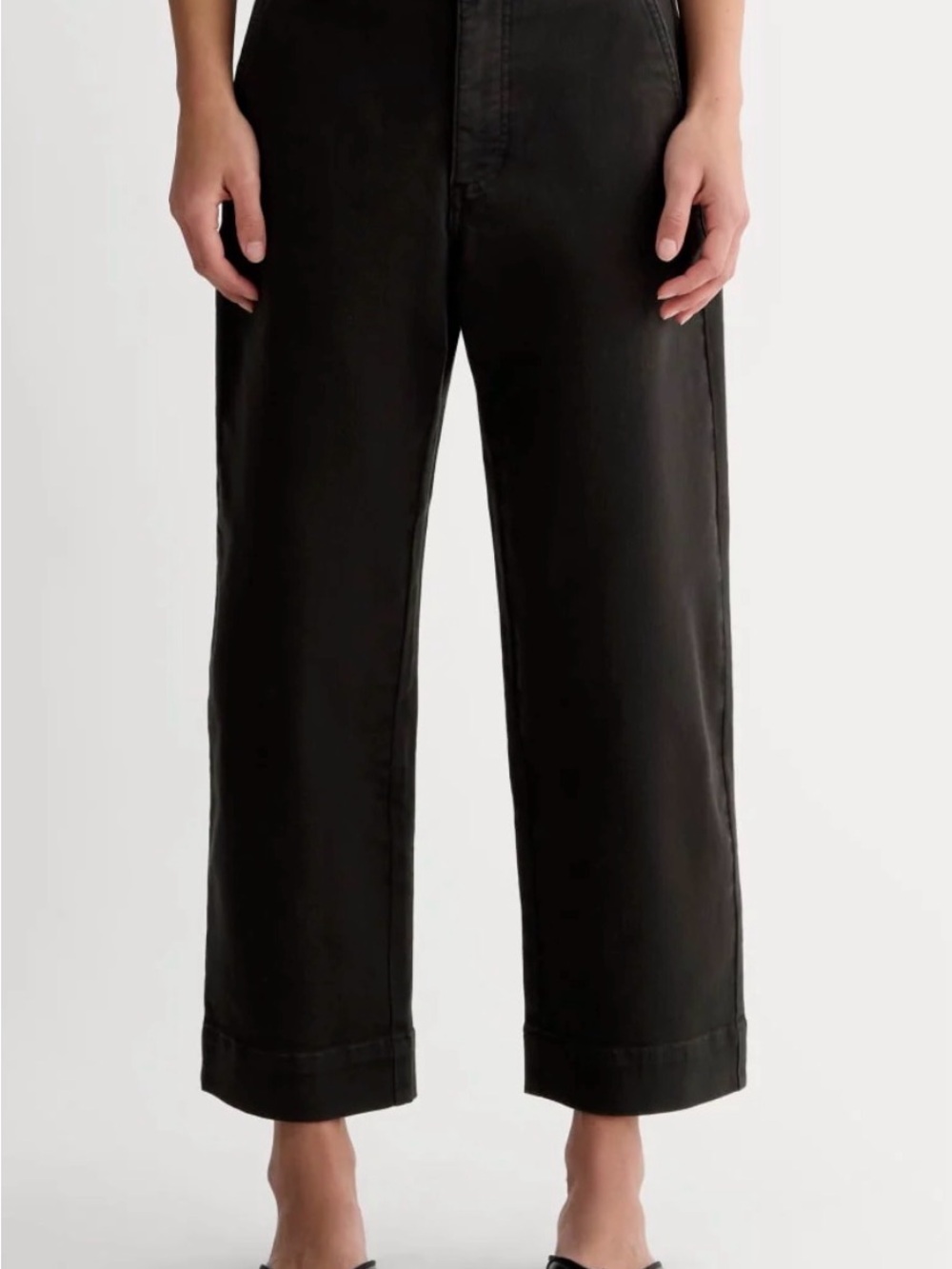 Everlane Women’s Utility straight Pamt in Black
